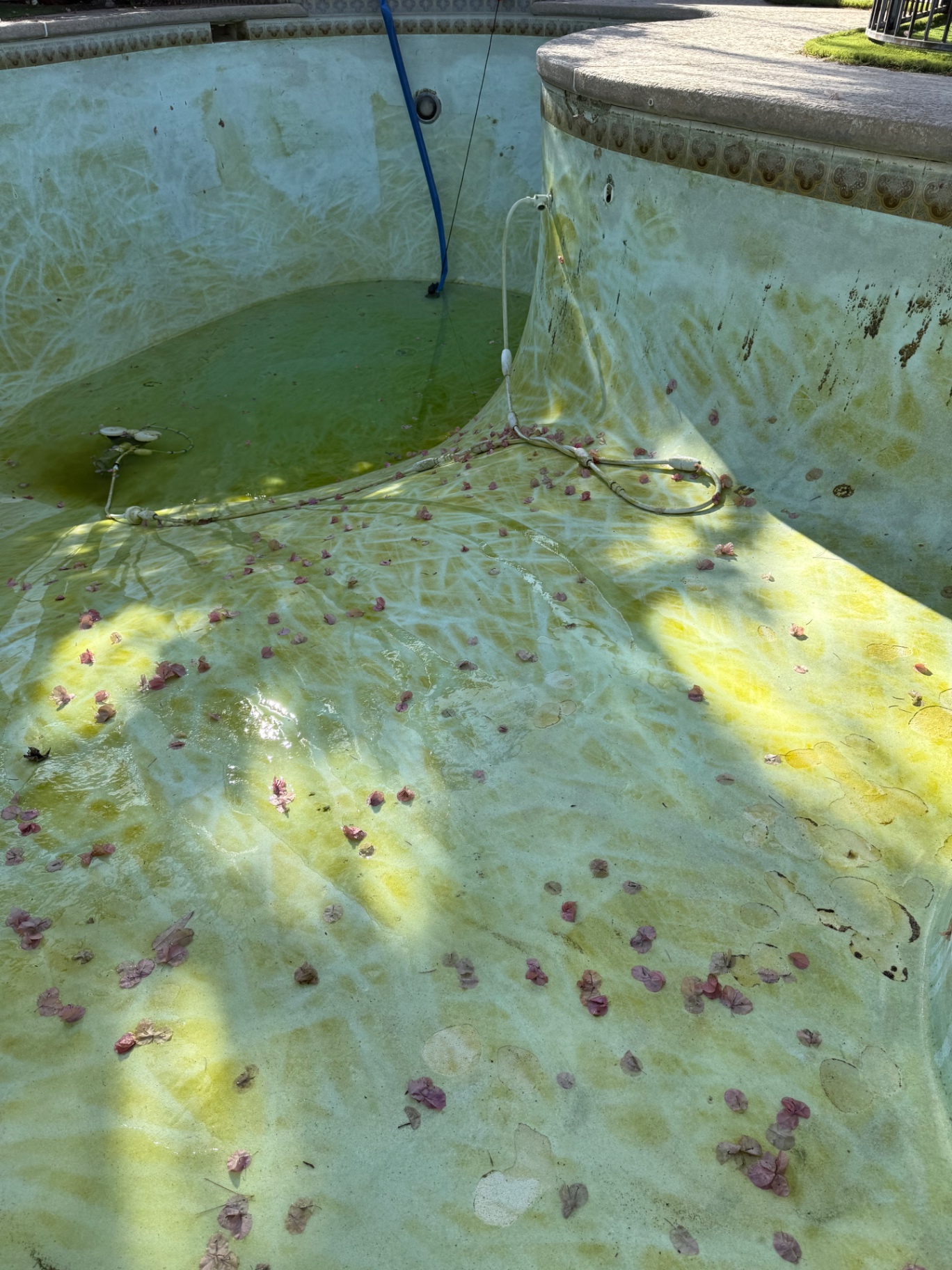 Green Pool Recovery before