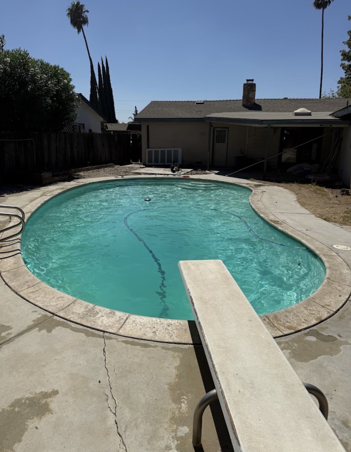 Algae Treatment & Clear Up after