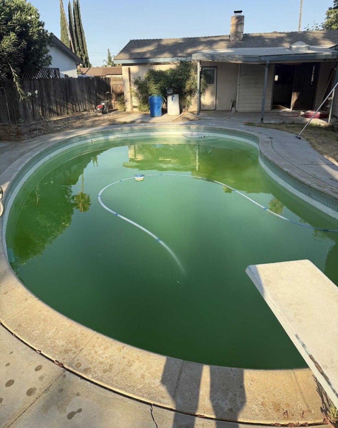 Algae Treatment & Clear Up before